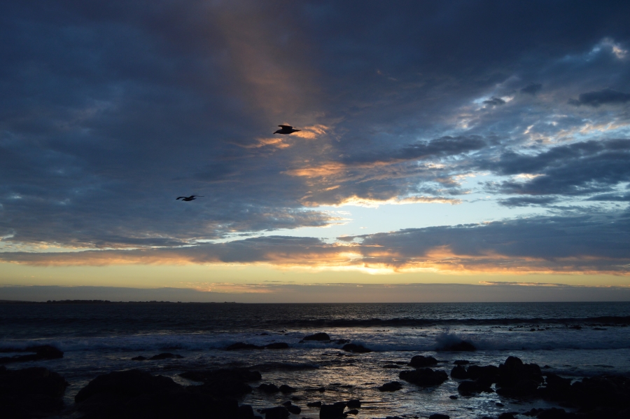 0 Bedroom Property for Sale in Steenbergs Cove Western Cape